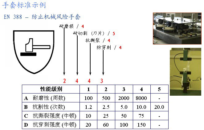 手套標準示例.jpg